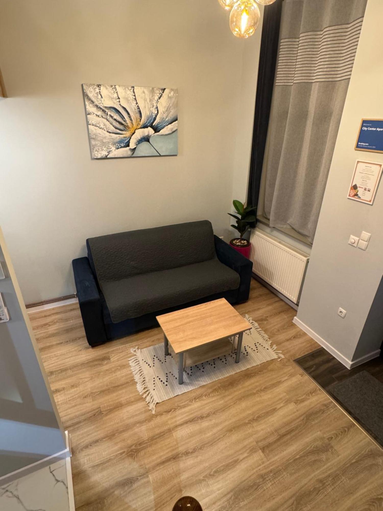 City Center Apartman Satu Mare Eksteriør billede